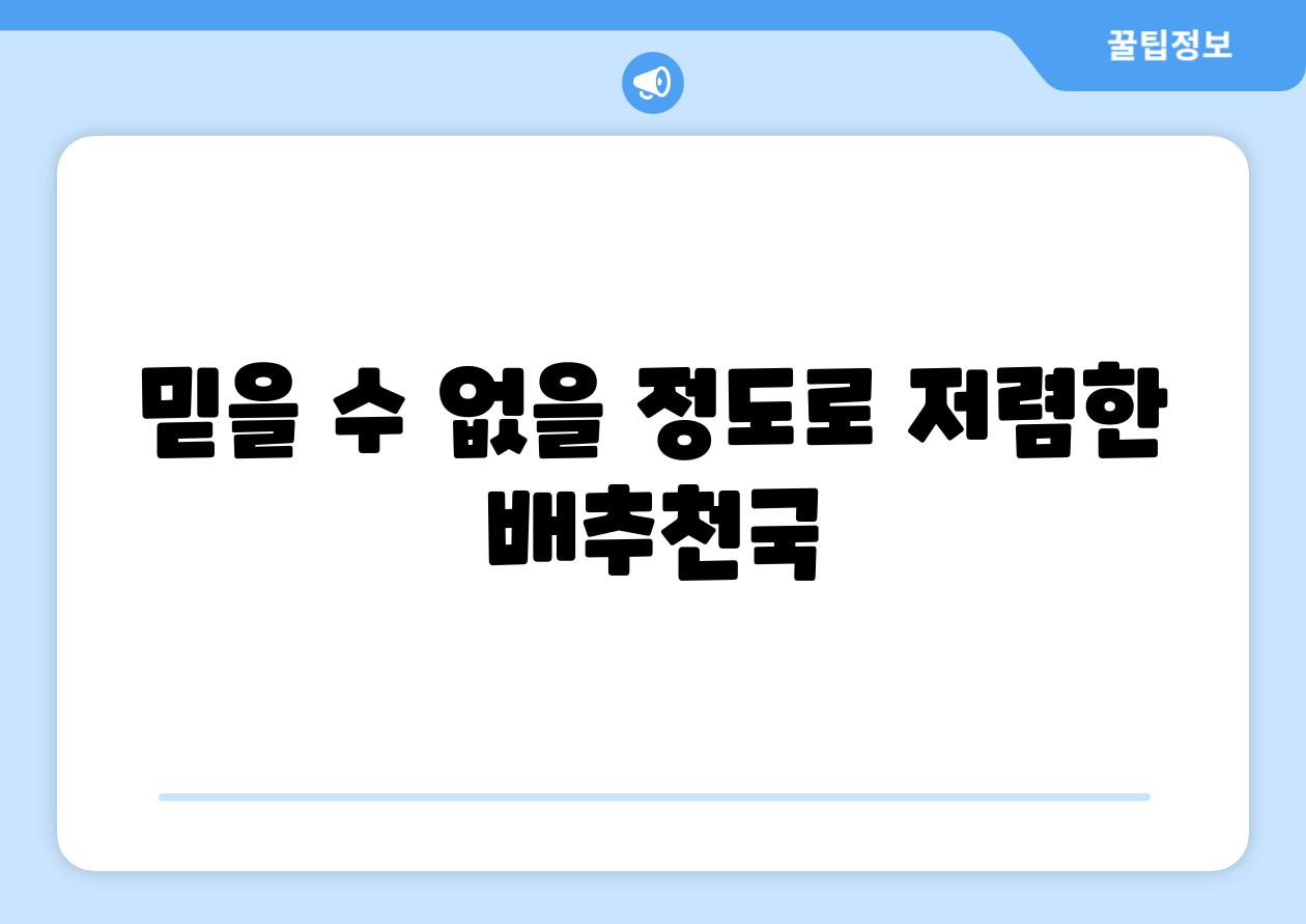 믿을 수 없을 정도로 저렴한 배추천국