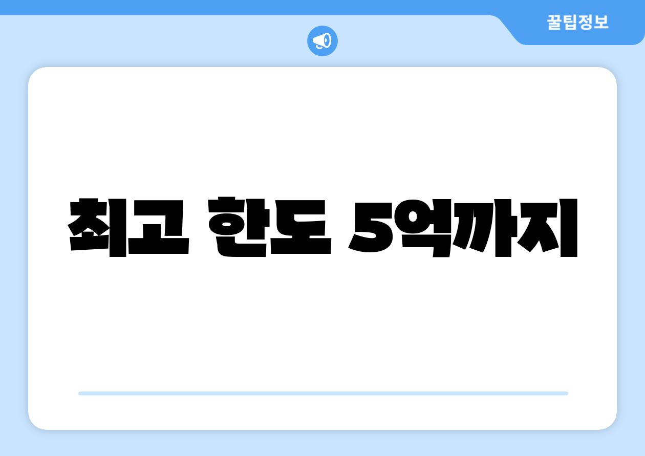 최고 한도 5억까지