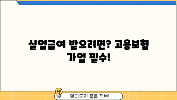 실업급여 신청, 이제 막막하지 않아요! 꿀팁 총정리| 절차, 종류,  고용보험 수급까지 한번에! | 실업급여, 신청방법,  고용보험,  수급자격