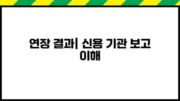연장 결과| 신용 기관 보고 이해