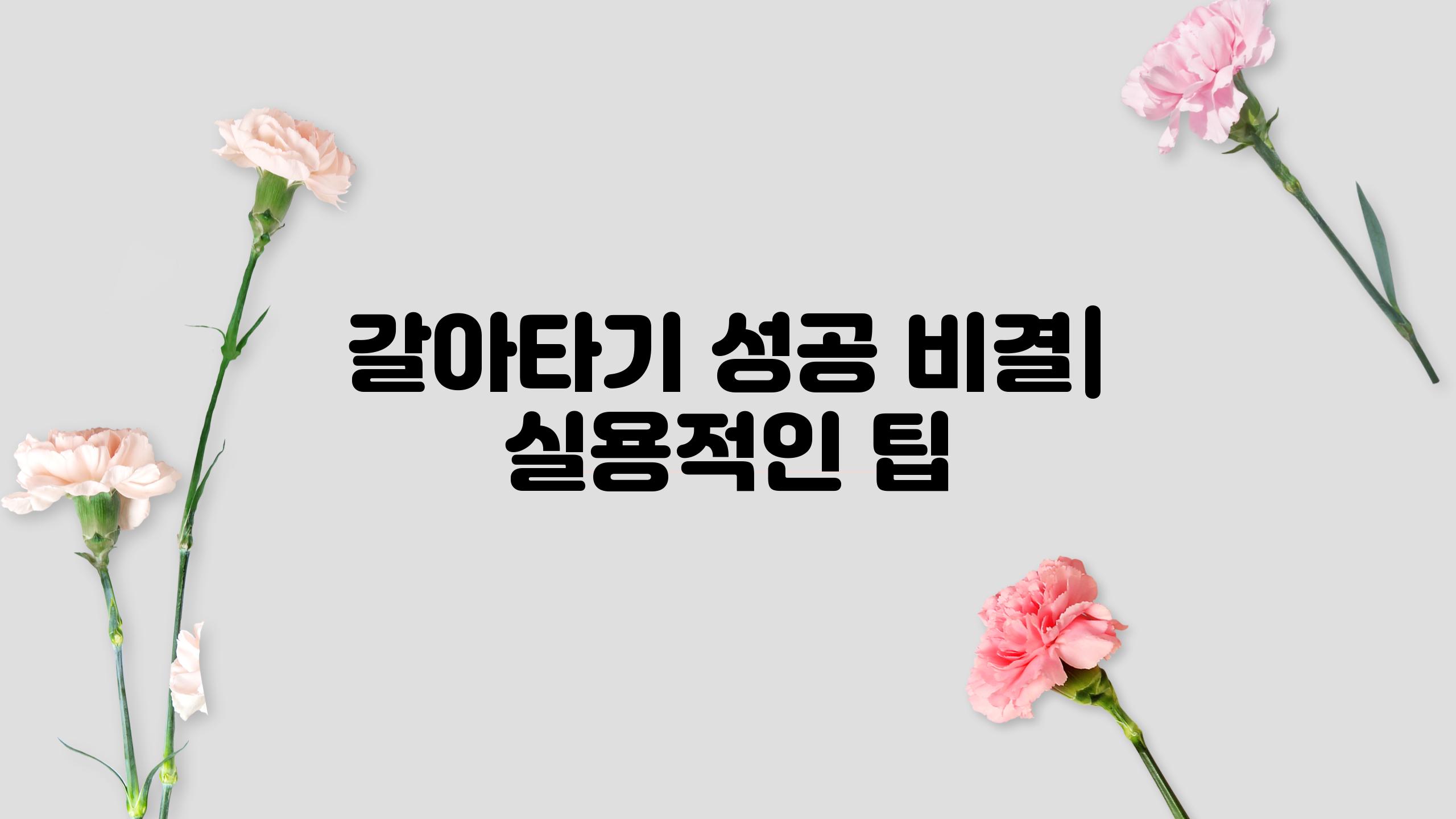 갈아타기 성공 비결| 실용적인 팁