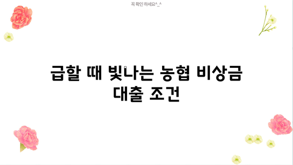 NH 농협 비상금 대출| 금리, 한도, 조건 총정리 | 비상금 마련, 신용대출, 금융 정보
