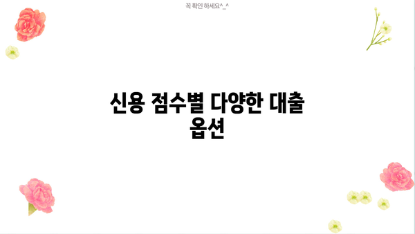 신용 점수별 다양한 대출 옵션