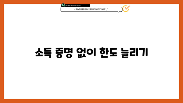 소득 증명 없이 한도 늘리기