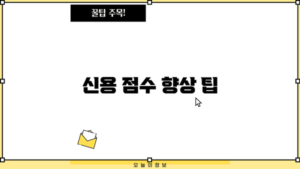 신용 점수 향상 팁