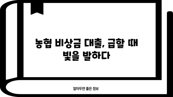 농협은행 비상금 대출로 급한 돈 문제 해결하기| 조건, 한도, 금리 정보 총정리 | 비상금, 대출, 긴급자금, 농협