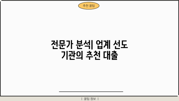 전문가 분석| 업계 선도 기관의 추천 대출