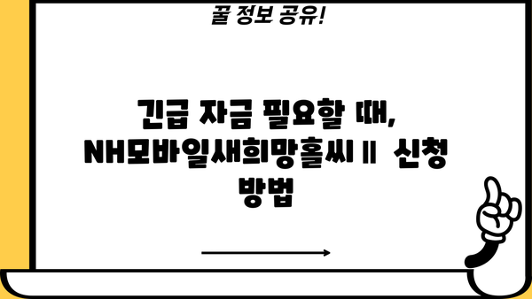 농협은행 NH모바일새희망홀씨Ⅱ 서민금융 대출 상품 완벽 가이드| 혜택, 한도, 금리, 필요서류 | 햇살론, 새희망홀씨, 서민금융