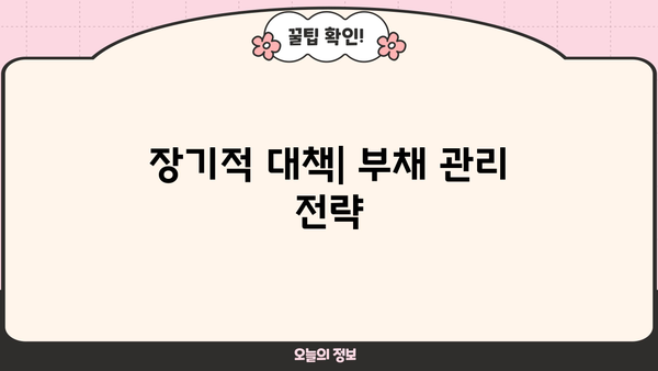 장기적 대책| 부채 관리 전략