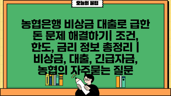 농협은행 비상금 대출로 급한 돈 문제 해결하기| 조건, 한도, 금리 정보 총정리 | 비상금, 대출, 긴급자금, 농협
