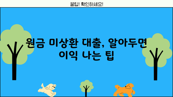 원금 미상환 대출, 알아두면 이익 나는 팁
