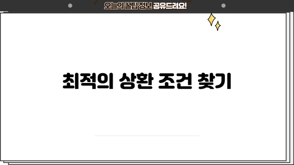 최적의 상환 조건 찾기