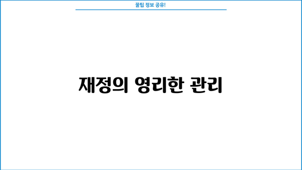 재정의 영리한 관리