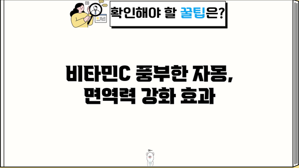 자몽의 놀라운 효능과 주의해야 할 부작용 | 건강, 비타민C, 쓴맛, 섭취 방법, 부작용