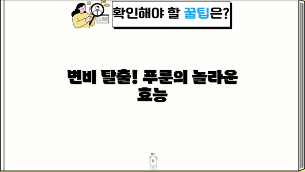건자두 푸룬 효능, 칼로리, 부작용 총정리| 건강에 좋은 푸룬, 제대로 알고 먹자! | 건강, 다이어트, 변비, 푸룬 효능, 푸룬 부작용