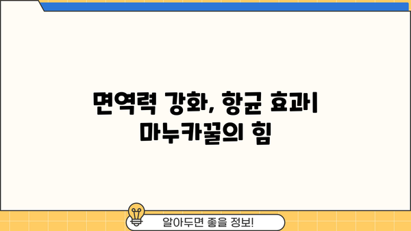 마누카꿀 효능, 부작용, 먹는 법 총정리 | 건강, 면역력, 항균 효과, 섭취 방법, 주의 사항