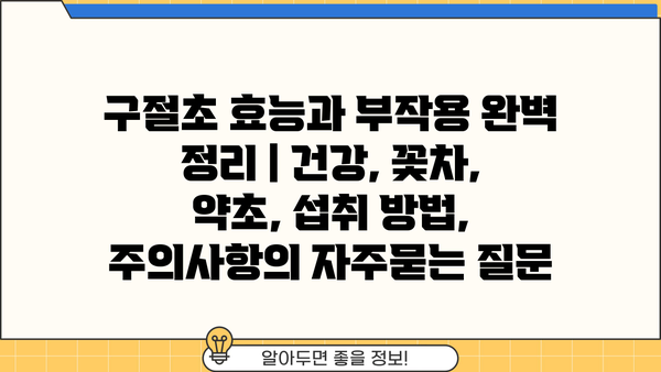 구절초 효능과 부작용 완벽 정리 | 건강, 꽃차, 약초, 섭취 방법, 주의사항