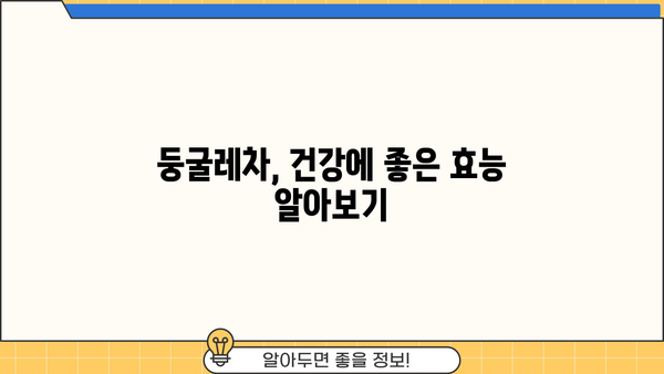 둥굴레차 효능과 부작용 완벽 정리 | 건강, 효능, 부작용, 주의사항