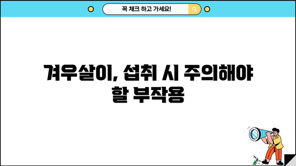 겨우살이 효능과 부작용, 꼼꼼하게 알아보세요! | 건강, 약초, 주의사항