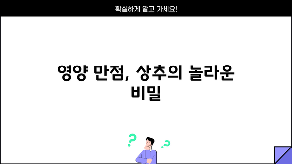 상추의 놀라운 효능 7가지 | 건강, 다이어트, 피부, 면역력, 영양