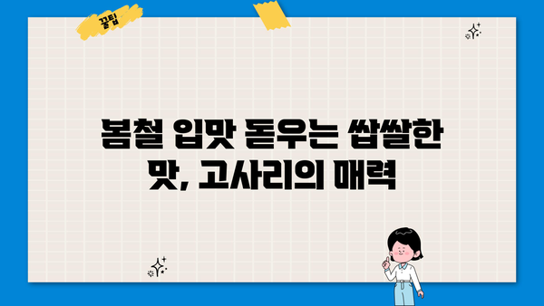 고사리 효능, 고르는 법, 부작용까지! 알아두면 좋은 고사리 정보 | 건강식품, 봄나물, 고사리 요리