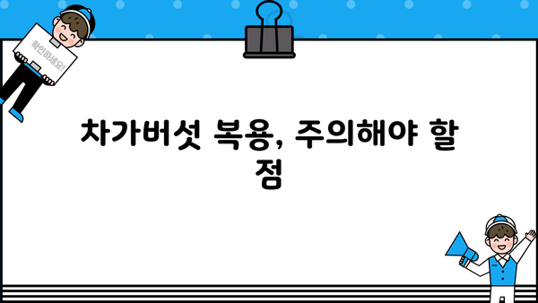 차가버섯 효능과 부작용 완벽 정리 | 건강, 면역력, 항암 효과, 주의 사항, 복용 방법