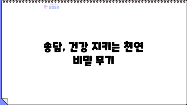 송담의 놀라운 효능 & 부작용 완벽 정리 | 송담 먹는 방법, 주의 사항, 효과 높이는 팁