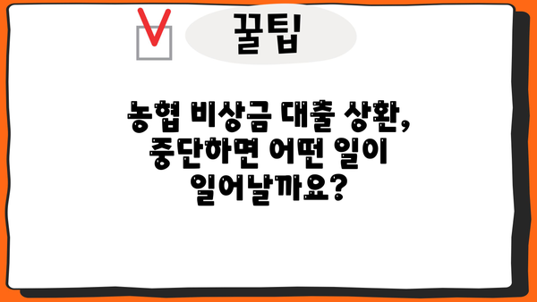 농협 비상금 대출 상환 연장, 거절, 중단 어떻게 해야 할까요? | 상환 연장, 거절, 중단 정보, 대출 상환 팁