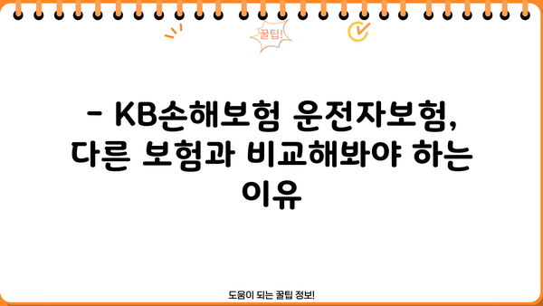 KB손해보험 운전자보험 가입 전 꼭 확인해야 할 핵심 정보 | 보장 내용, 특징, 비교 가이드