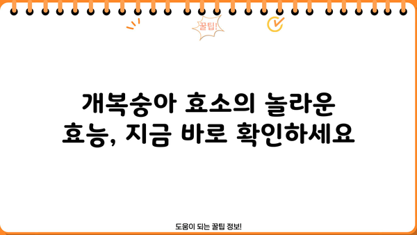 개복숭아 효소(액기스)의 놀라운 효능과 간단한 만드는 법 | 건강, 면역력, 수제, 레시피