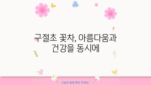 구절초 효능과 부작용 완벽 정리 | 건강, 꽃차, 약초, 섭취 방법, 주의사항