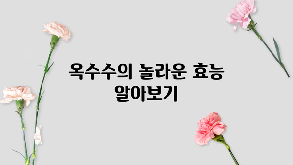 옥수수 효능, 삶는 법, 칼로리, 보관 방법 총정리 | 건강, 영양, 레시피