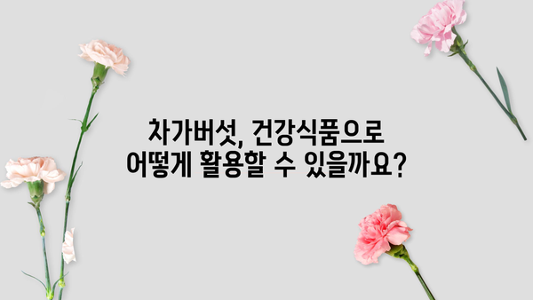 차가버섯 효능, 분말 먹는 방법 & 부작용 완벽 정리 | 건강, 면역력, 차가버섯 효능, 차가버섯 분말 섭취