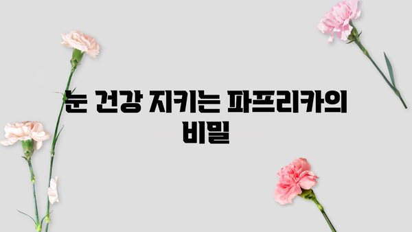 파프리카 효능, 알아보고 건강 챙기세요! | 비타민, 면역력, 눈 건강, 다이어트, 파프리카 효능