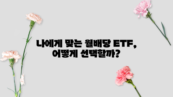 국내 월배당 ETF 투자 가이드| 알아야 할 모든 것 | 월배당 ETF 추천, 투자 전략, 위험 관리