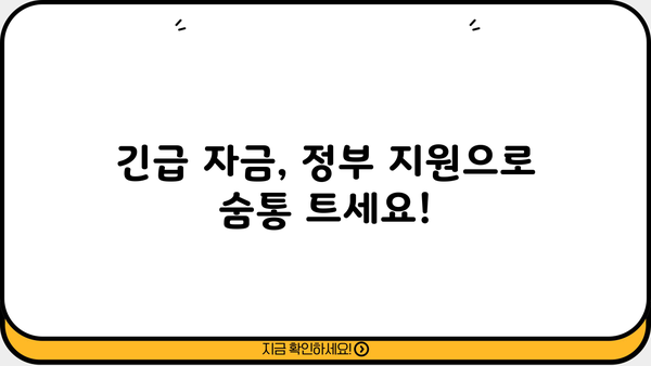 긴급 자금 필요할 때! 정부지원 소액생계비대출 완벽 가이드 | 한도, 금리, 조건, 신청방법, 지원 대상