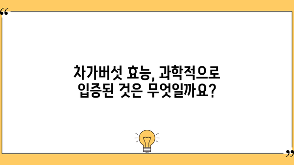 차가버섯 효능, 분말 먹는 방법 & 부작용 완벽 정리 | 건강, 면역력, 차가버섯 효능, 차가버섯 분말 섭취