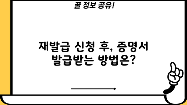 개인사업자등록증 재발급 신청 방법| 상세 가이드 | 사업자등록증, 재발급, 신청절차, 필요서류, 온라인 신청