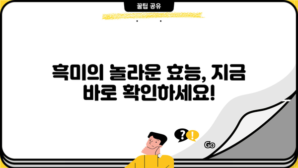 흑미(검은색) 효능, 부작용 완벽 정리! | 건강, 밥, 영양, 다이어트, 검은쌀