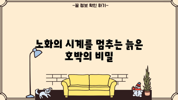 늙은 호박의 놀라운 효능 7가지 | 건강, 면역력, 피부, 노화 방지, 늙은 호박 활용법