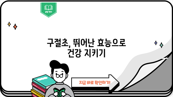 구절초 효능과 부작용 완벽 정리 | 건강, 꽃차, 약초, 섭취 방법, 주의사항
