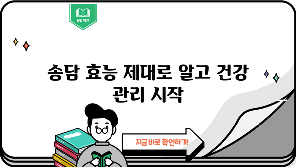 송담의 놀라운 효능 & 부작용 완벽 정리 | 송담 먹는 방법, 주의 사항, 효과 높이는 팁
