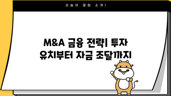 M&A 성공 전략|  M&A 대출 전문가가 알려주는 실전 가이드 | 인수합병, 금융, 투자, 전략, 딜