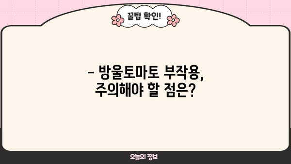 방울토마토 효능과 부작용, 제대로 알고 드세요! | 건강, 영양, 섭취 가이드