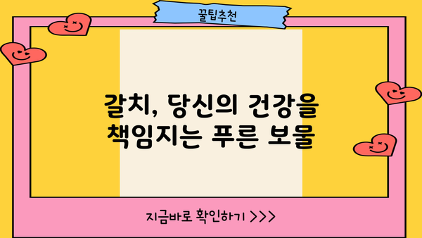 갈치의 놀라운 효능과 맛있는 요리 레시피, 영양성분까지 완벽 분석 | 갈치 효능, 갈치 요리, 영양성분, 레시피
