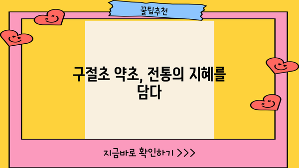 구절초 효능과 부작용 완벽 정리 | 건강, 꽃차, 약초, 섭취 방법, 주의사항