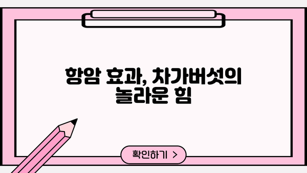 차가버섯 효능과 부작용 완벽 정리 | 건강, 면역력, 항암 효과, 주의 사항, 복용 방법
