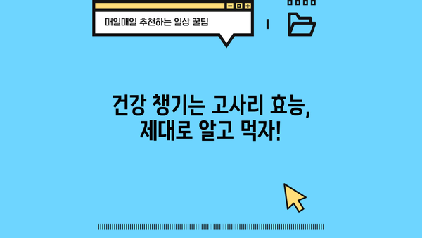 고사리 효능, 고르는 법, 부작용까지! 알아두면 좋은 고사리 정보 | 건강식품, 봄나물, 고사리 요리