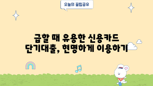신용카드 단기대출, 이렇게 이용하면 똑똑하게 돈 관리 가능해요! | 신용카드 대출, 단기 대출, 현금 서비스, 비상금 마련