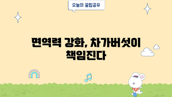 차가버섯 효능과 부작용 완벽 정리 | 건강, 면역력, 항암 효과, 주의 사항, 복용 방법